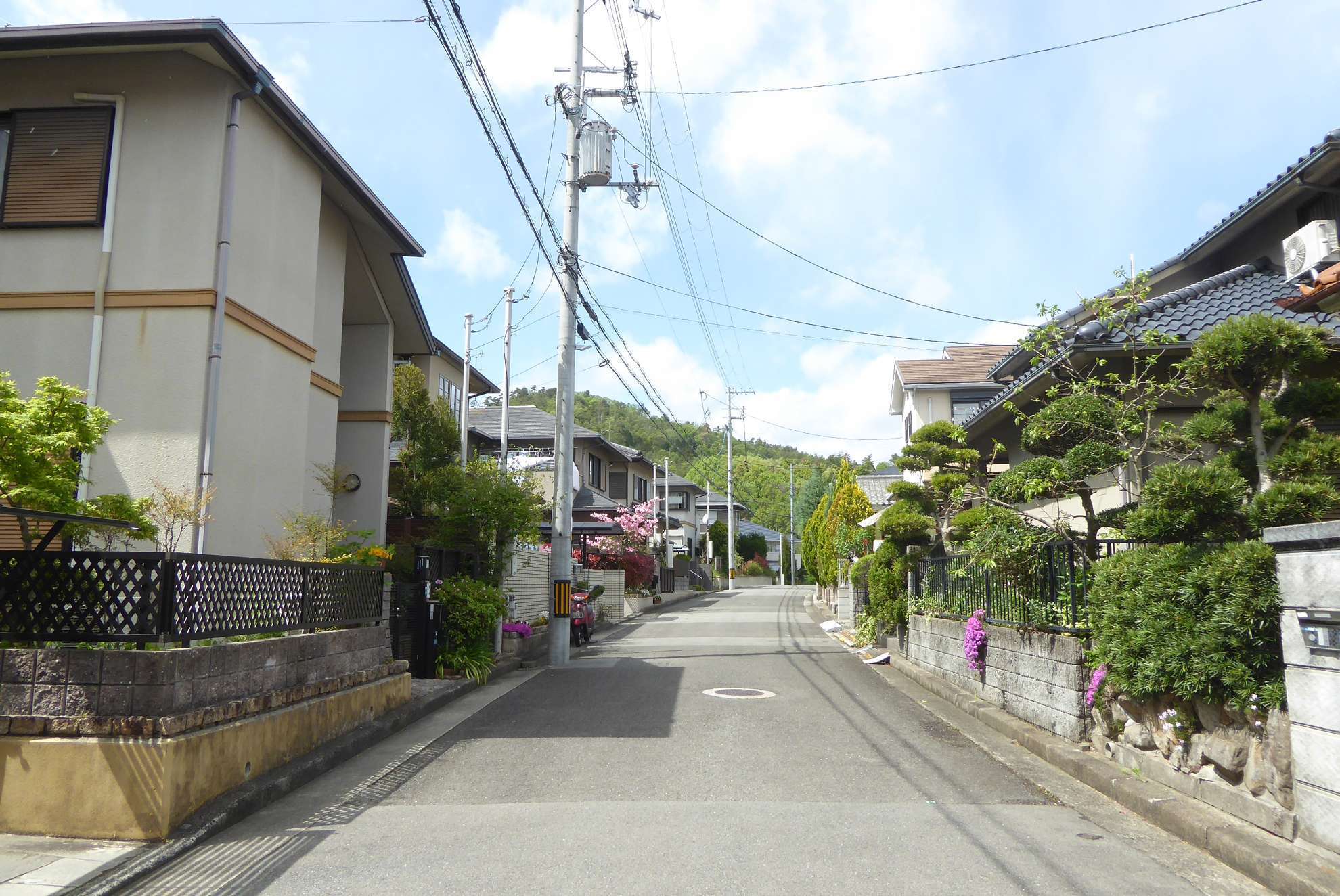 緑豊かな一戸建てが多く並んでいます。