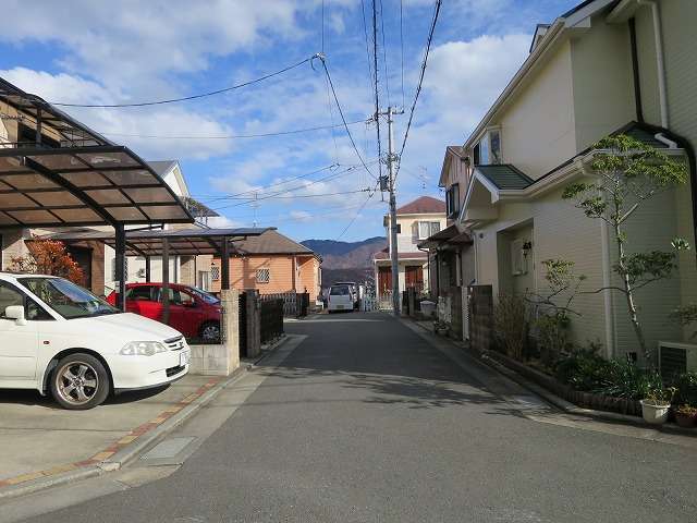 町の北部を西方向から見た景色。奥には山林が見えます。