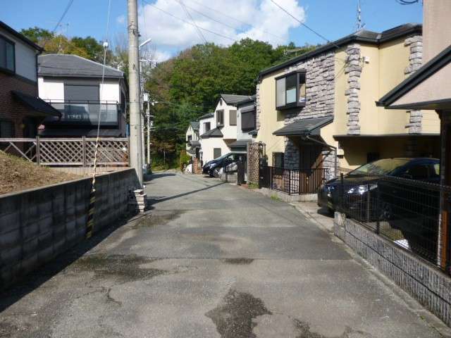 町の北西部を南方向から見た景色。町の北部には森林が広がっていますが、その中にも家屋が一部あります。