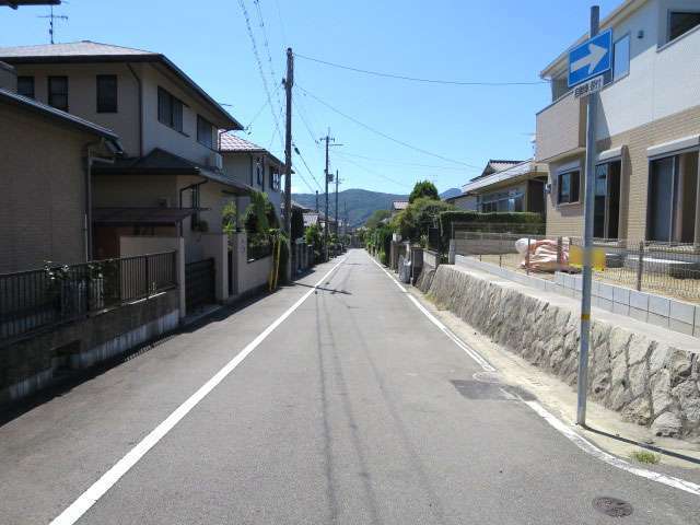 町の南部を北東方向から見た景色。道路は直線的で、奥の山林が良く見えます。