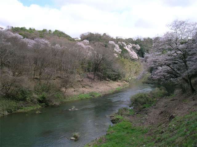 『多田グリーンハイツ』のすぐ西側には猪名川が流れ、川沿いは緑豊かです。