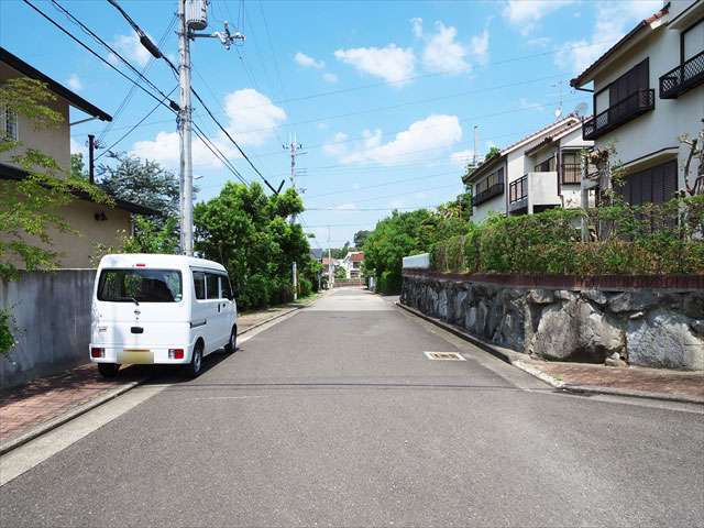 町の東部を南東方向から見た景色。緑豊かな街並みが広がっています。