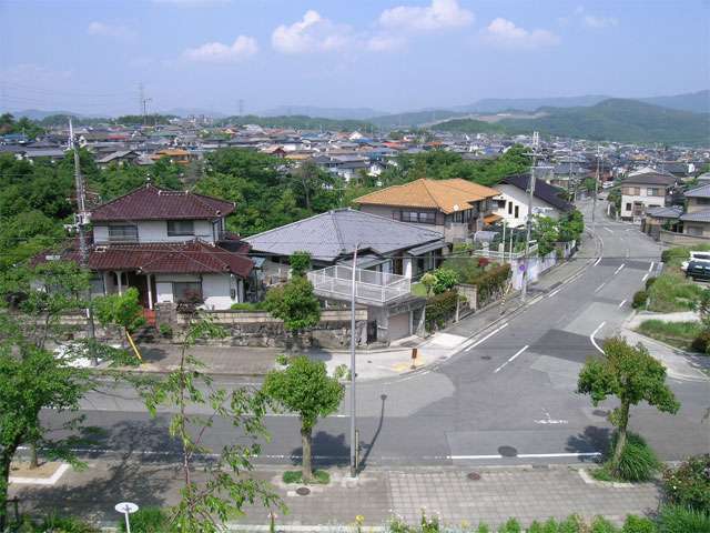 『向陽台』から見下ろした緑台周辺。ゆるやかな南斜面地で、明るい雰囲気です。