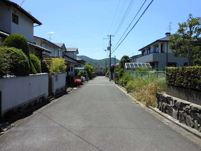 町の中央部を東方向から見た景色。奥には山林が広がっています。