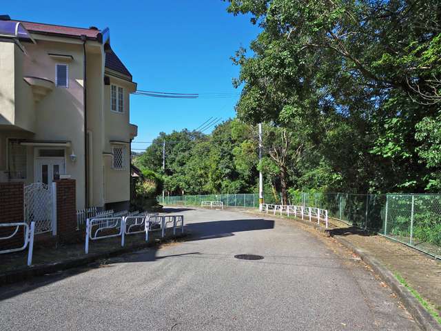町の北部を南東方向から見た景色。町の北端から西端にかけて猪名川が流れ、川沿いには山林が広がっています。