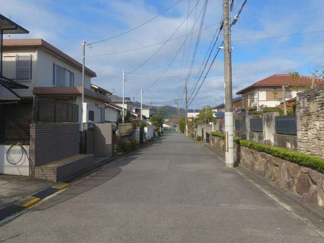 町の西部を東方向から見た景色。奥には山林が見えます。