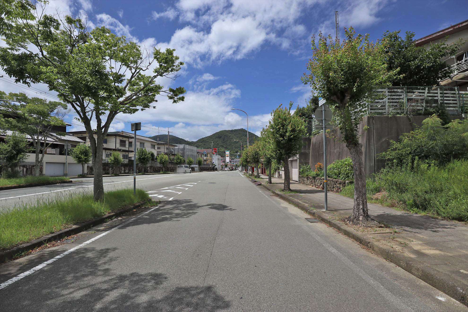 街路樹が多く、緑豊かです。