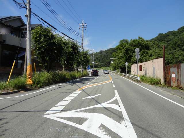 町の東側を猪名川が流れ、川沿いにはエドヒガン桜の群生地があります。