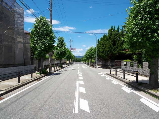 町の中央部を南北に通る主要道路。両端に歩道や街路樹が整備されています。