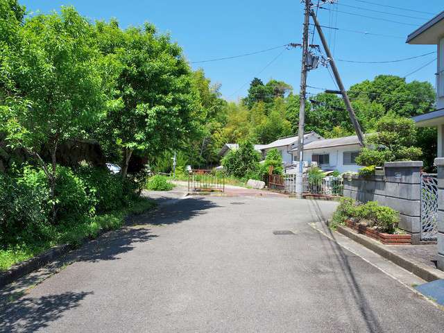 町の北西部を南西方向から見た景色。住宅地のすぐ近くまで森林が広がっています。