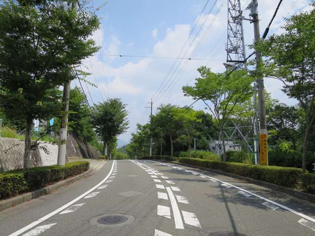 町内を東西の横断する主要道路。両端には歩道や街路樹、植え込みが整備されています。
