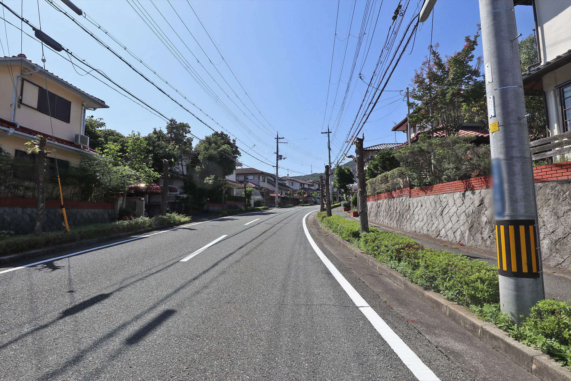 生垣や植栽のある家が多いです。