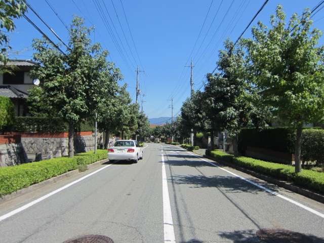 町の中央を南北に走る主要道路を南西方向から見た景色。道路の両側に街路樹が並んでいます。