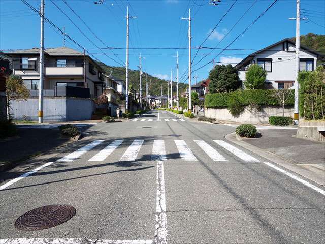 町の西部を東方向から見た景色。タウンの周囲には山林が広がり、奥にはその山林が見えます。