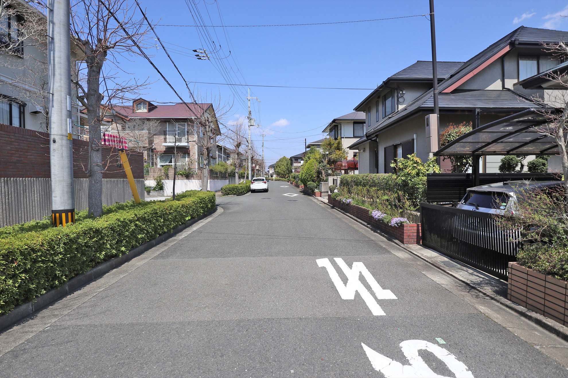 生け垣や植栽が多く、緑豊かな住宅地。