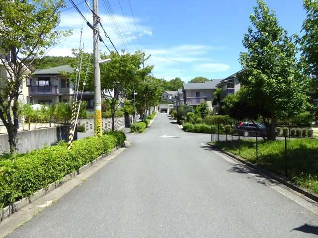 町の西部を南方向から見た景色。大きな通り沿いには街路樹や植え込みがあります。