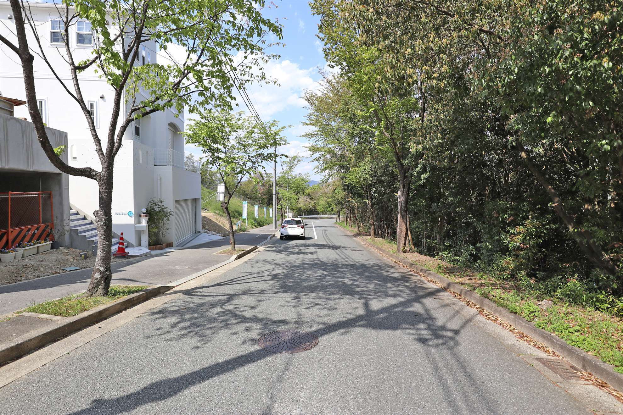 野鳥の姿も多く、四季の移ろいを身近で感じられる住環境が魅力。