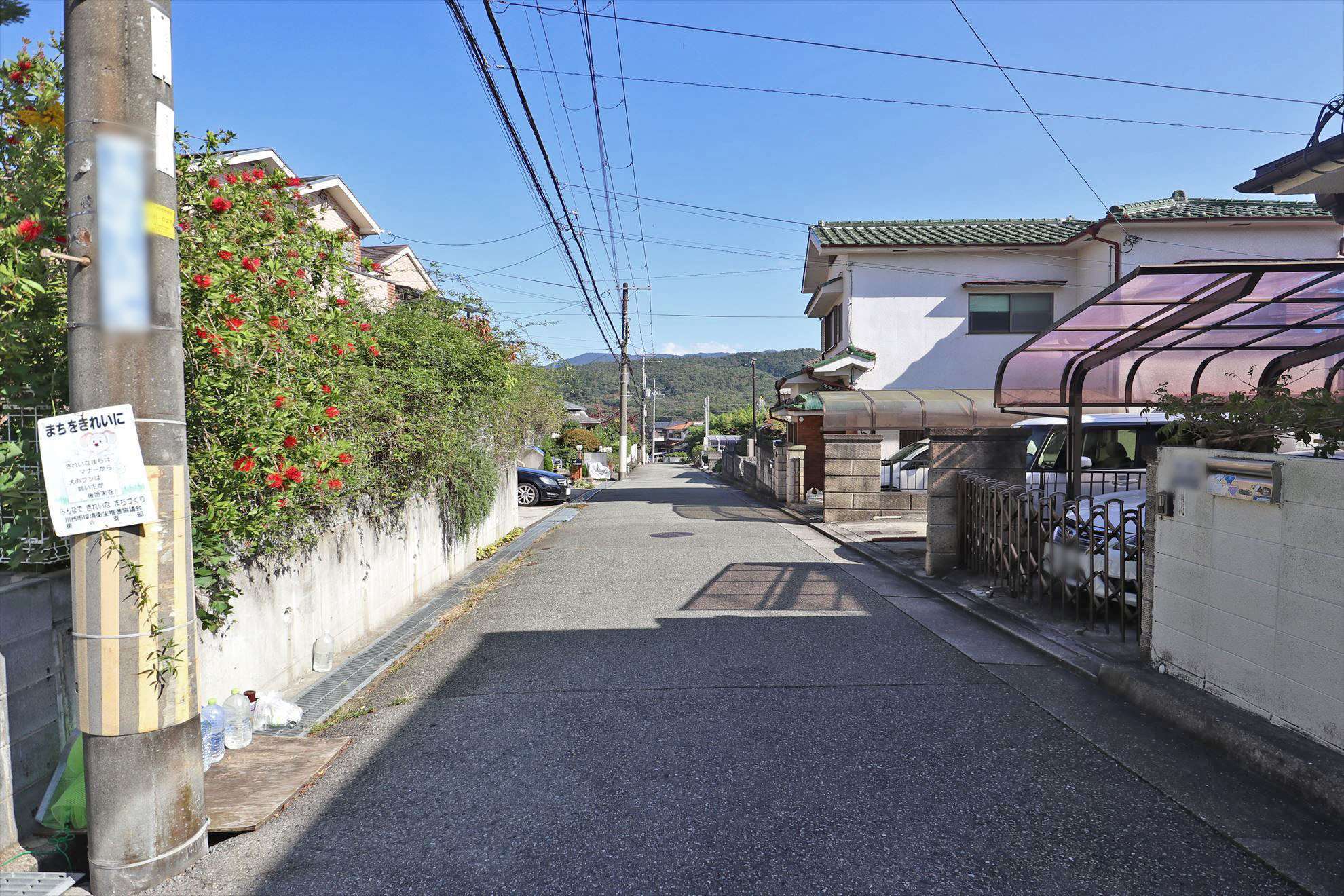 緑を身近に感じる自然豊かな住宅地です。