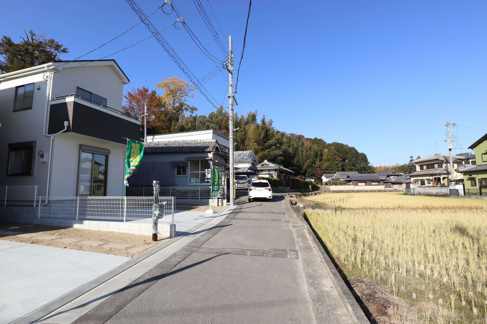 田畑の他に、自然林も残っています。