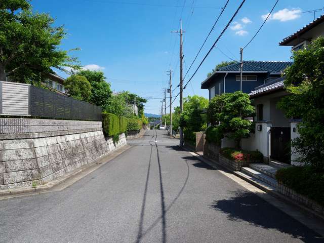 町の北部を南東方向から見た景色。道幅が広い街路沿いに一戸建てが並んでいます。