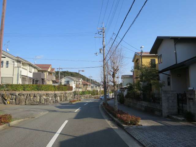 町に南東部を北東方向から見た景色。主要道路沿いには歩道が整備され、街路樹や植え込みもあります。