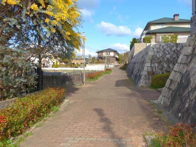 遊歩道があり、車の心配をせずに散歩が楽しめます。