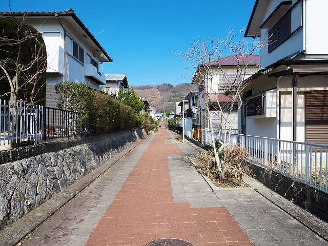 町の西部を南西方向から見た景色。町内には小道が多くあります。