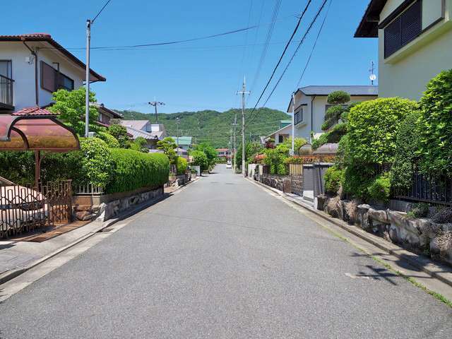 町の西部を南西方向から見た景色。緩やかな坂道沿いに敷地の広い一戸建てが並んでいます。