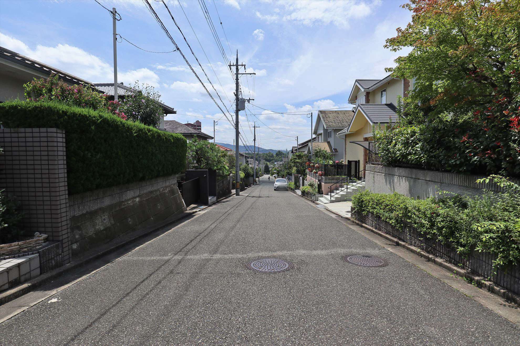 生垣や植栽のある家が多いです。