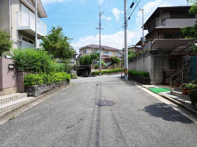 町の中央部を南西方向から見た景色。敷地の広い一戸建てが整然と並んでいます。