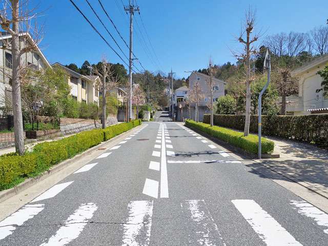 主要道路には歩道だけでなく植え込みや街路樹も整備されています。