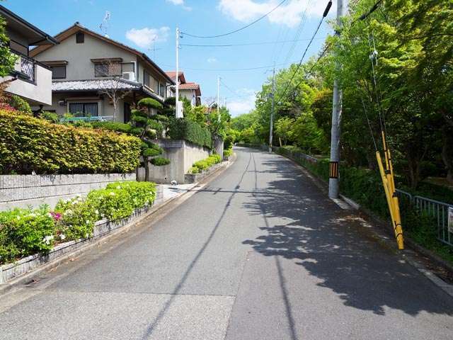 町の南西部を北西方向から見た景色。右側には池があり、その周囲は緑豊かです。