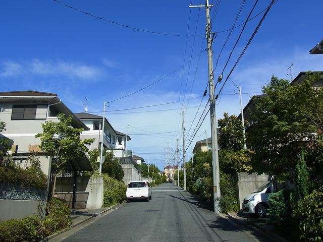 町の北部を西方向から見た景色。生垣や植栽のある家が多く、緑豊かな街並みが広がっています。