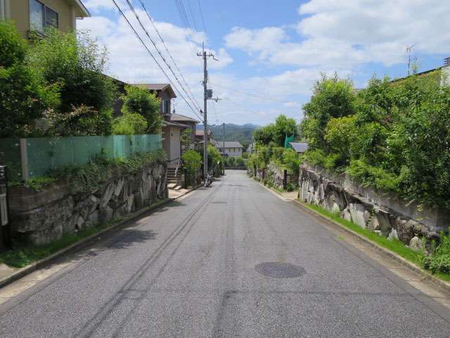 町の東部を東方向から見た景色。奥には山林が見えます。