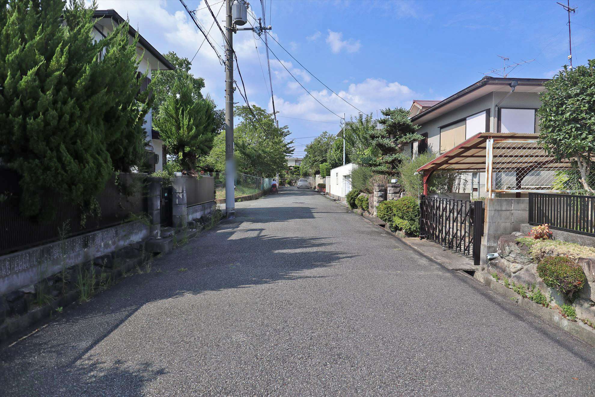 生垣や植栽のある家が多く、緑の潤いを感じられます。