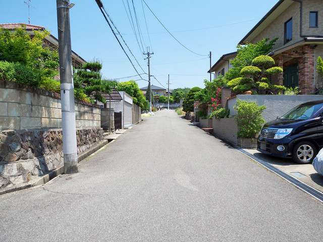 町の南部を南西方向から見た景色。敷地が広いため、生垣や植栽のある家が多いです。