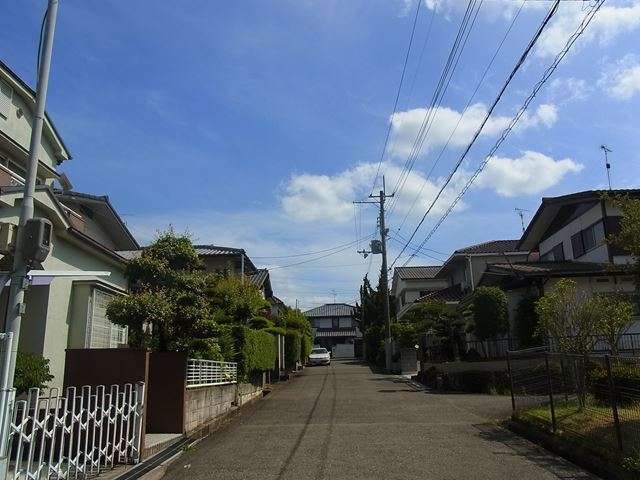 穂地の北東部を北方向から見た景色。緑豊かな住居が多いです。