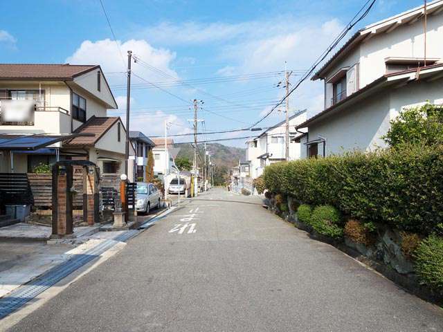 町の南東部を南方向から見た景色。直線的な街路沿いに一戸建てが整然と並んでいます。