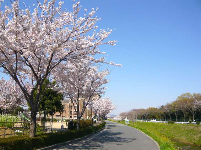 『天神川』は、伊丹の北部を流れる小さな川です。