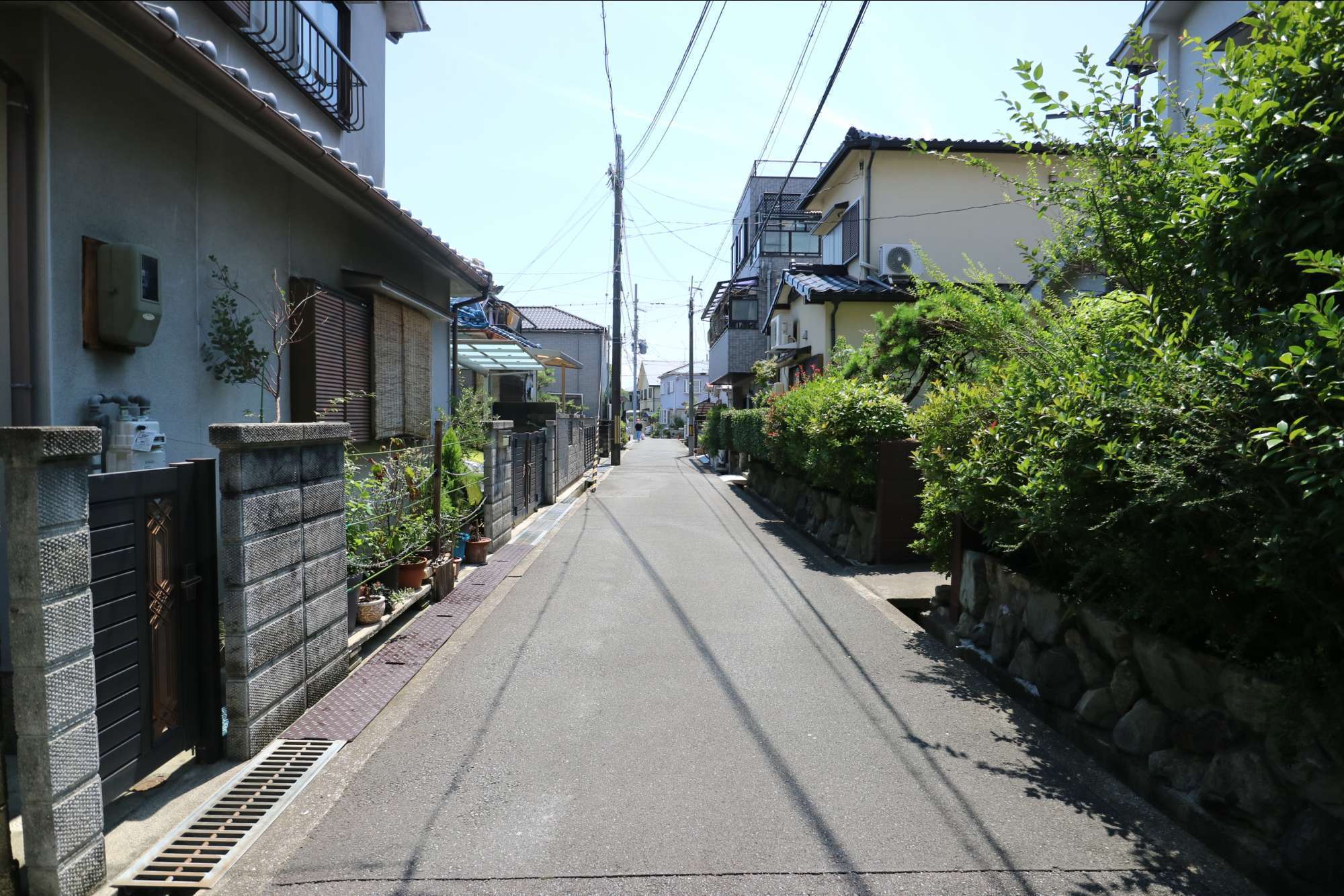 町中でも緑を身近に感じます。