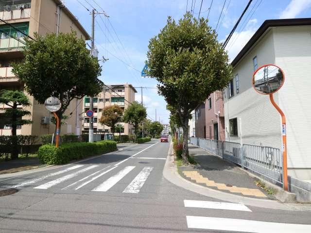 西隣の中野北4丁目との境界上を通る主要道路。街路樹や植栽が整備されています。