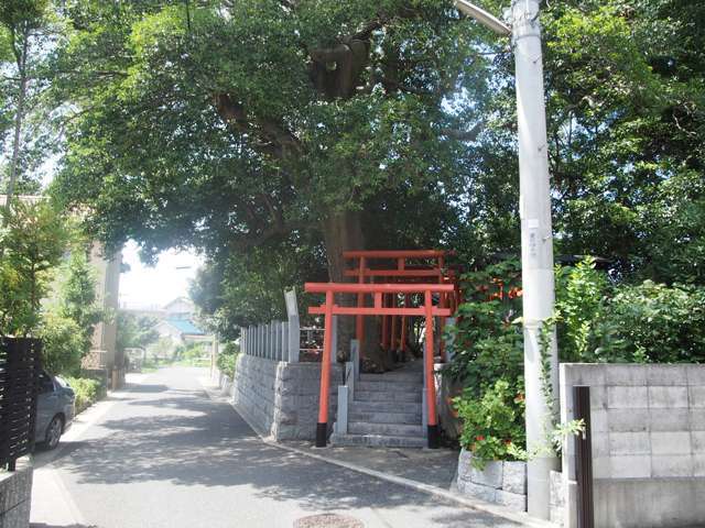 『中野稲荷神社』 境内に県の天然記念物に指定されたイヌマキの木があり、地域の歴史を引き継ぐ証として人々に親しまれてきました。