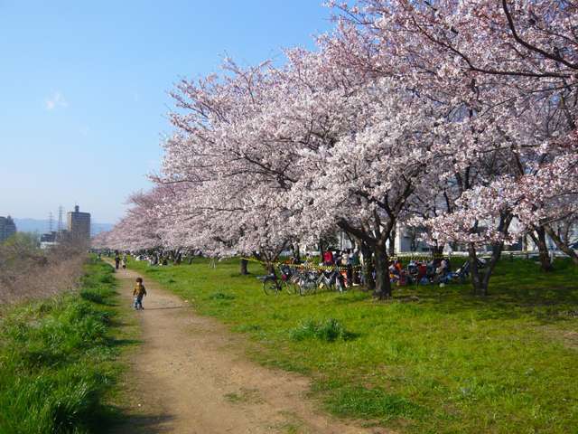 『武庫川』は伊丹市の北西側を南北に流れています。河川敷は公園と球技場などに整備されており、緑もいっぱいです。
