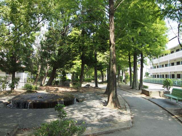 『たんたん小道』 緑が丘公園から瑞ヶ池公園の南端をなめ、昆陽池公園まで続く、キレイに整備された遊歩道。木陰が多く、散歩にはうってつけです。