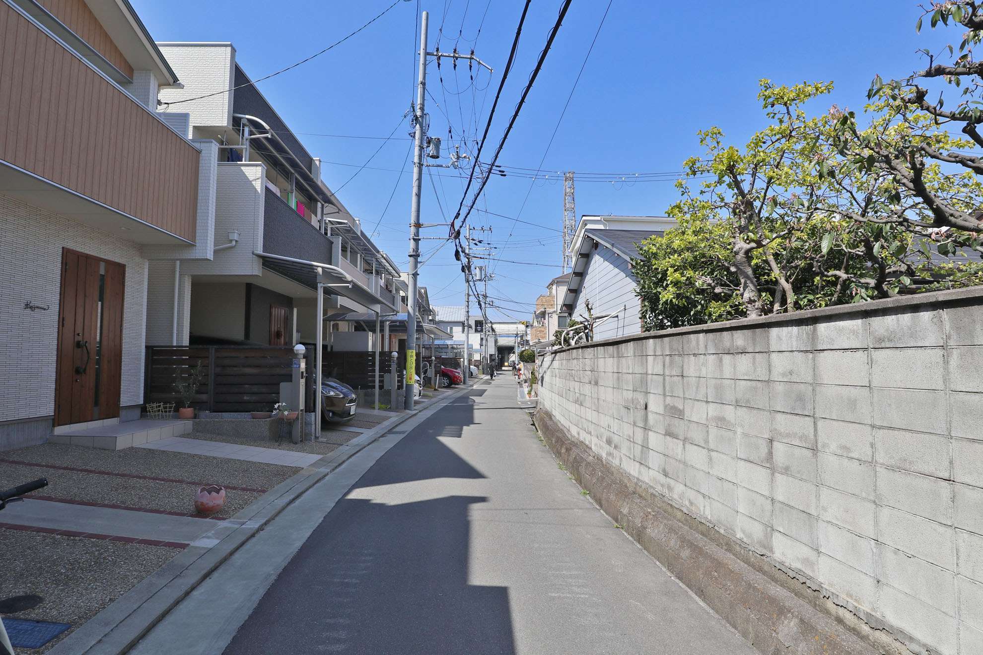 地勢は平坦で、自転車で生活する人も多く見かけます。