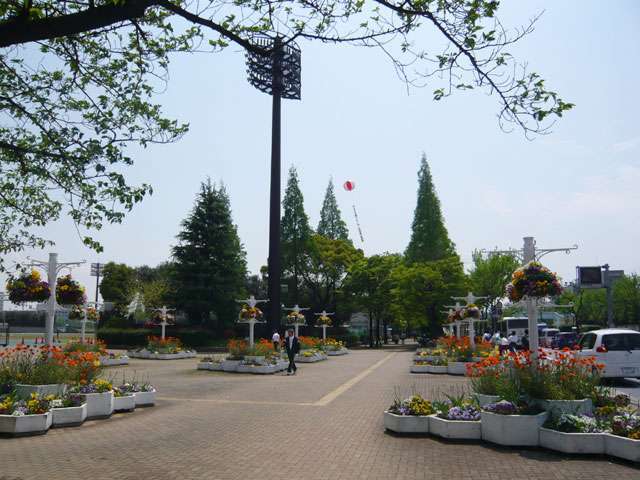 『記念公園』。野球場、陸上競技場、総合体育館のある総合施設。敷地が広く、並木道や美しい花壇などがあり、散歩コースにぴったりです。