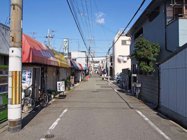 町中には生垣のある家がやや少なく、緑は少なめ。