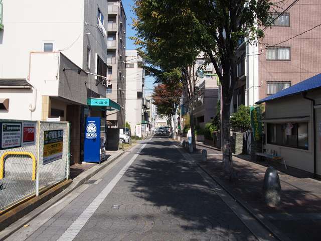 街路樹ののある通りが多く、緑豊かな印象の町並み。