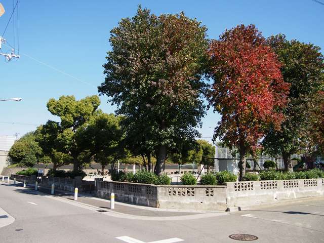 『大西新町公園』。隣の大西町3丁目にある公園で、園内は広いです。