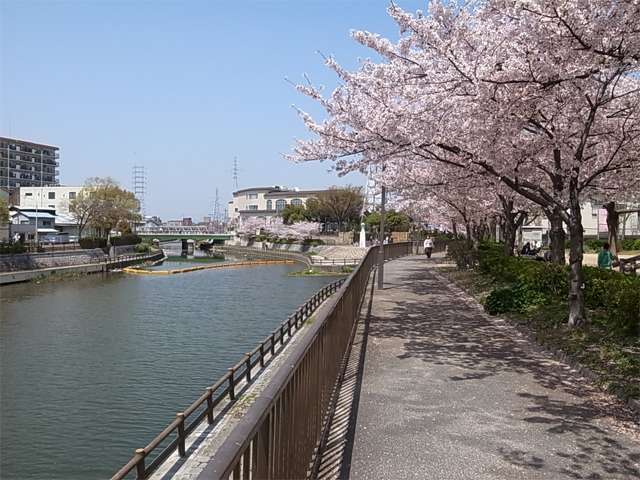 町の西側にある、庄下川と久々知川の合流地点付近。庄下川沿いの桜並木は地域の人々の散歩道として親しまれています。